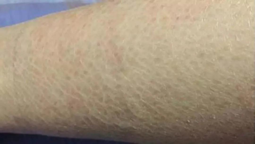 高纯度乳木果油,乳木果油食品级