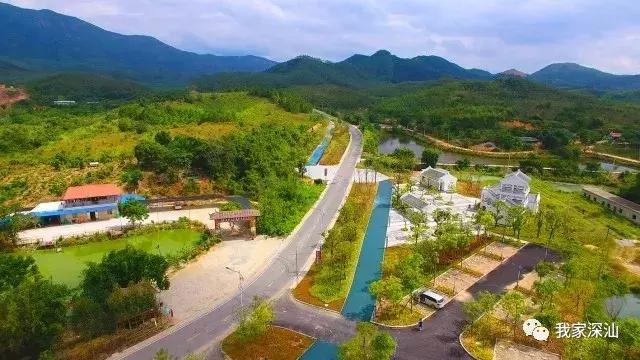 深圳经济特区的生日,深圳经济特区生日快乐