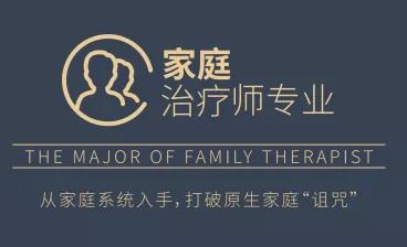 心理咨询的家庭治疗,心理咨询的关键技术之一