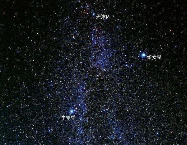 七夕情人节，牛郎织女只是传说，实际咸鱼上的“舔狗拍卖”太扎心