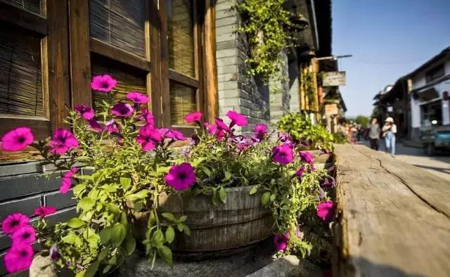 中国山水画摇篮,楠溪江为什么叫山水画摇篮