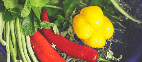 金牌月嫂对新生儿湿疹怎么护理,婴儿湿疹贴心护理