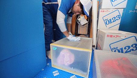 “变态”到极致的日本人,连搬家都不放过,网友拍下全过程!