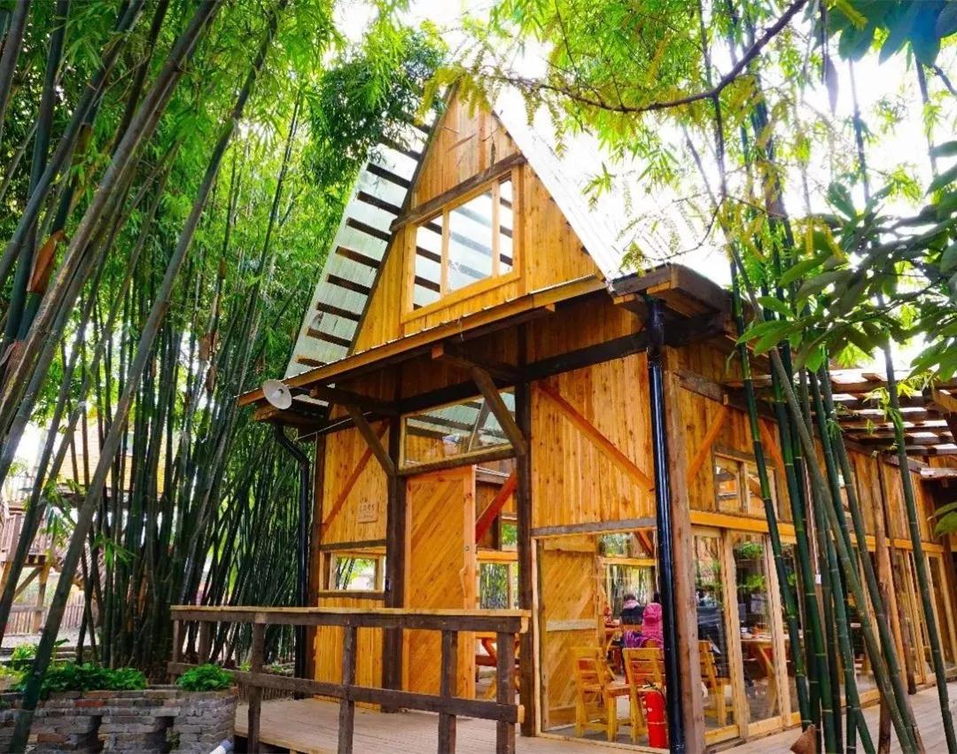 成都周边春季徒步旅游攻略,成都森林徒步旅游攻略