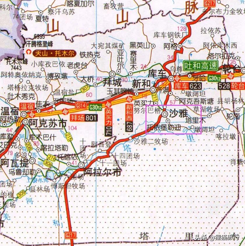 沙雅胡杨林自然保护区,新疆沙雅胡杨林介绍
