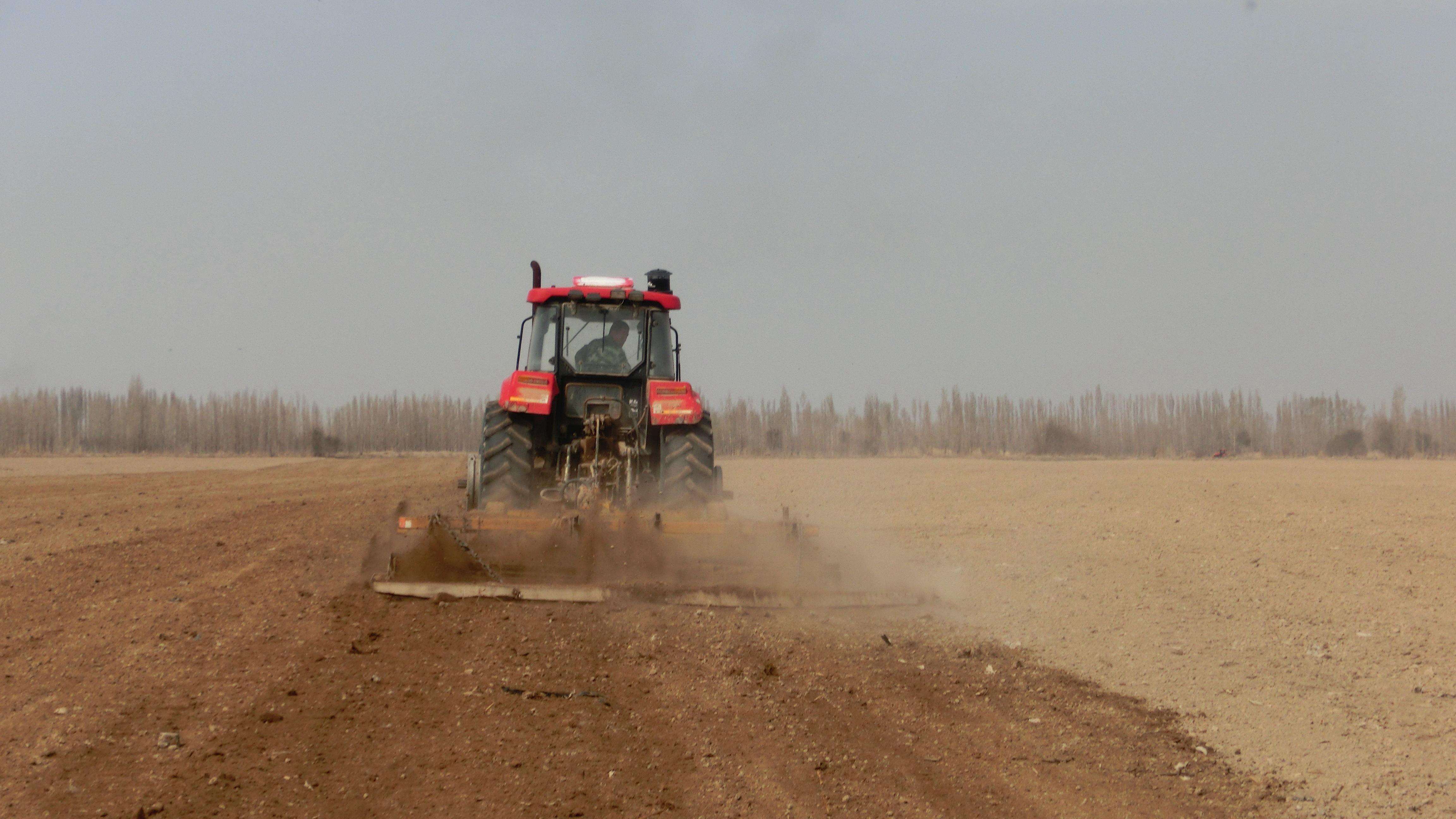 玉米疯了：东北、华北玉米深加工企业再次大范围上调收购价格
