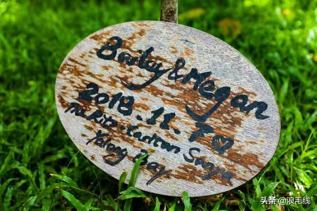 三亚丽思卡尔顿可以参观吗,三亚丽思卡尔顿适合带孩子吗