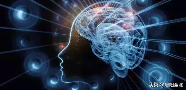 开发右脑的十种方法,成年人如何开发右脑思维