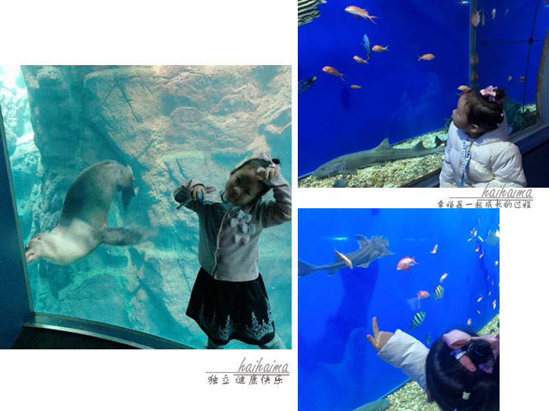 日本儿童海洋世界游玩攻略,海底世界亲子游推荐
