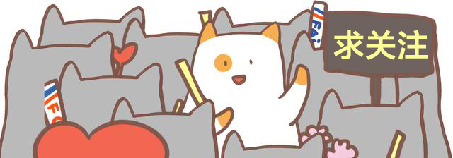 你不知道的冷知识迪拜,迪拜十大冷知识