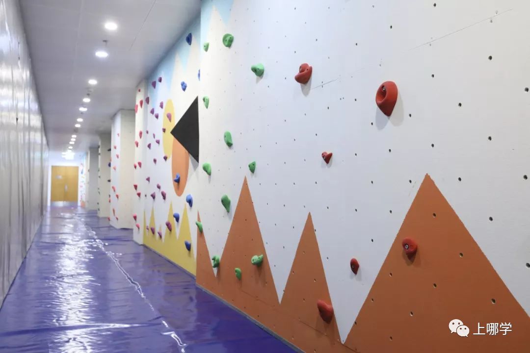 上海最好的十大民办初中,上海各区的顶级初中和一流初中