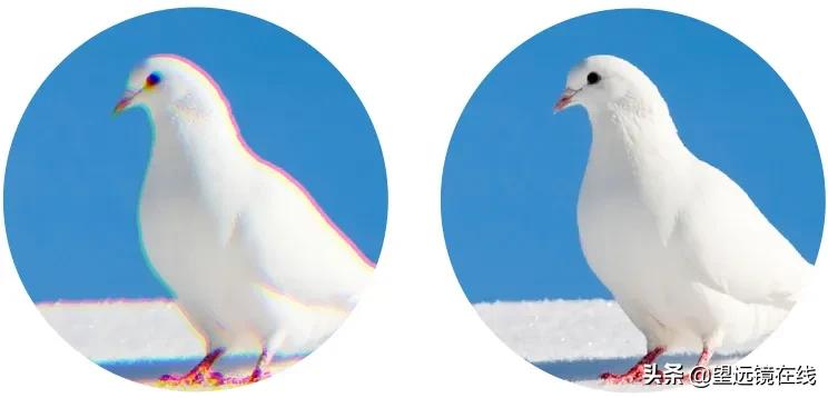 望远镜apo代表什么 (ed望远镜和apo望远镜区别)