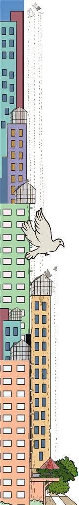 楼上养鸽子楼下怎么去除臭味,楼下养鸽子扰民解决方法