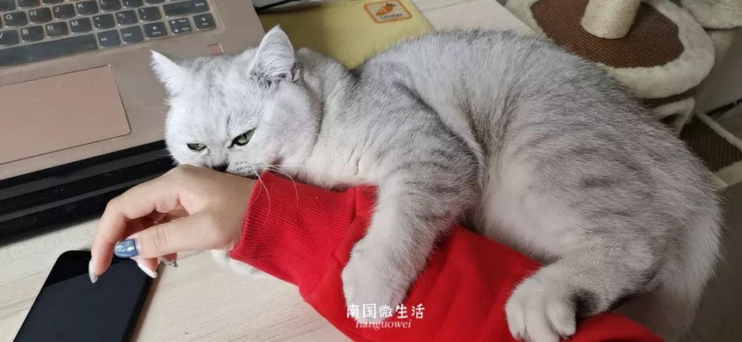 顶不住了！看看在家办公半个月的南宁人