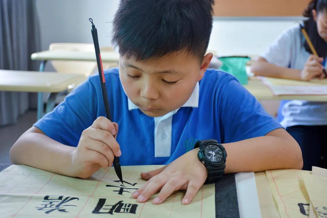 十年耕耘，从“讯得达”到“新哲”，初心不变，志向更高远