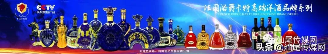 我们是冠军！宏扬.金维智能足球赛万业夺金杯