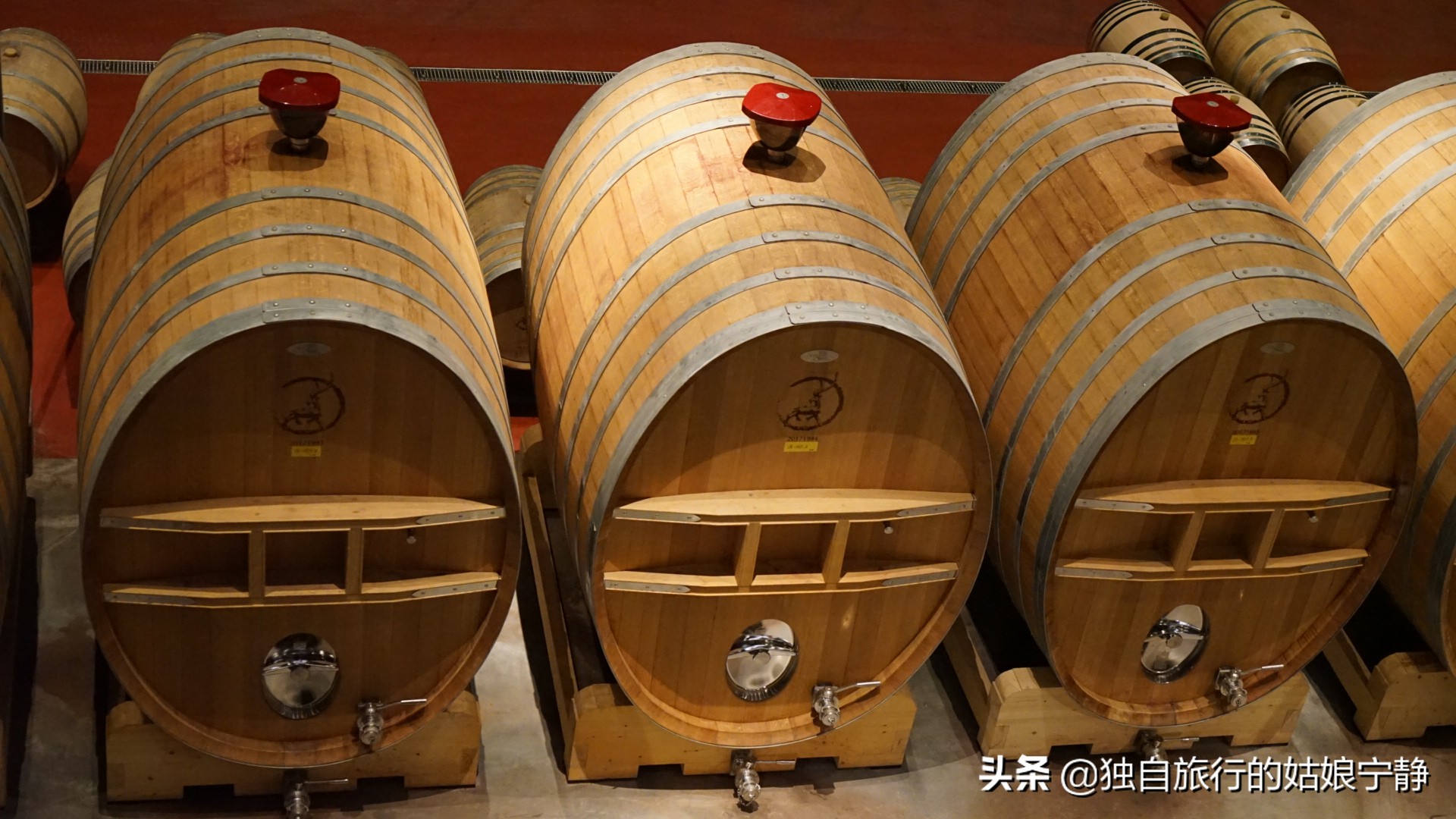 宁夏酒庄参观推荐,宁夏葡萄酒排行榜前十名酒庄