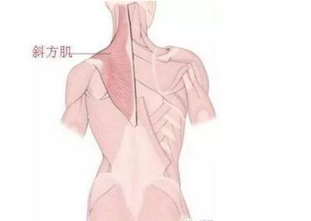 瘦肩针多少钱一针能保持多久,瘦肩针注射视频教程