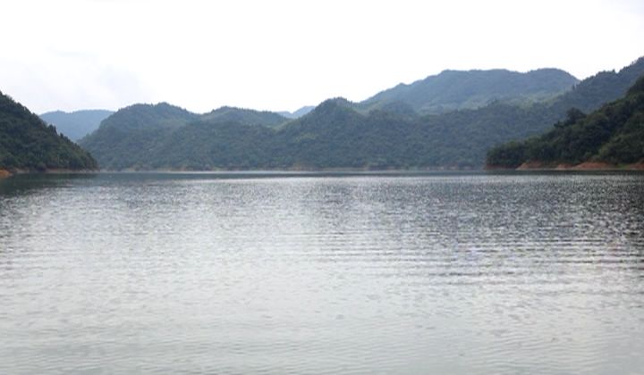 在合肥能吃到全中国的美食,合肥最好吃的鱼头汤滨湖