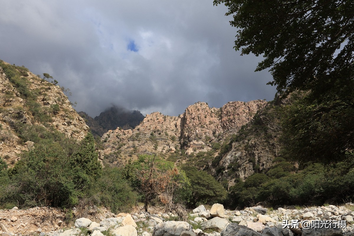 静谧森林和沙漠交界处,静谧森林红色石头