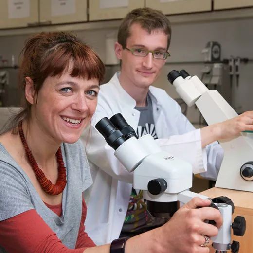 雌雄交配才叫性?不要被课本限制了想象力