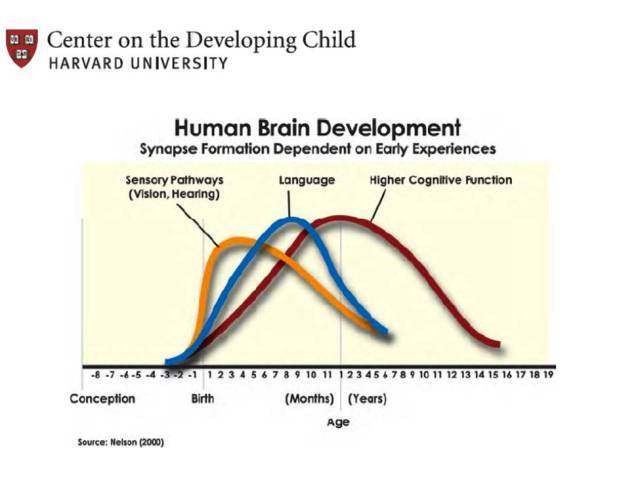 幼小衔接数学思维逻辑训练幼升小,数学思维训练幼升小