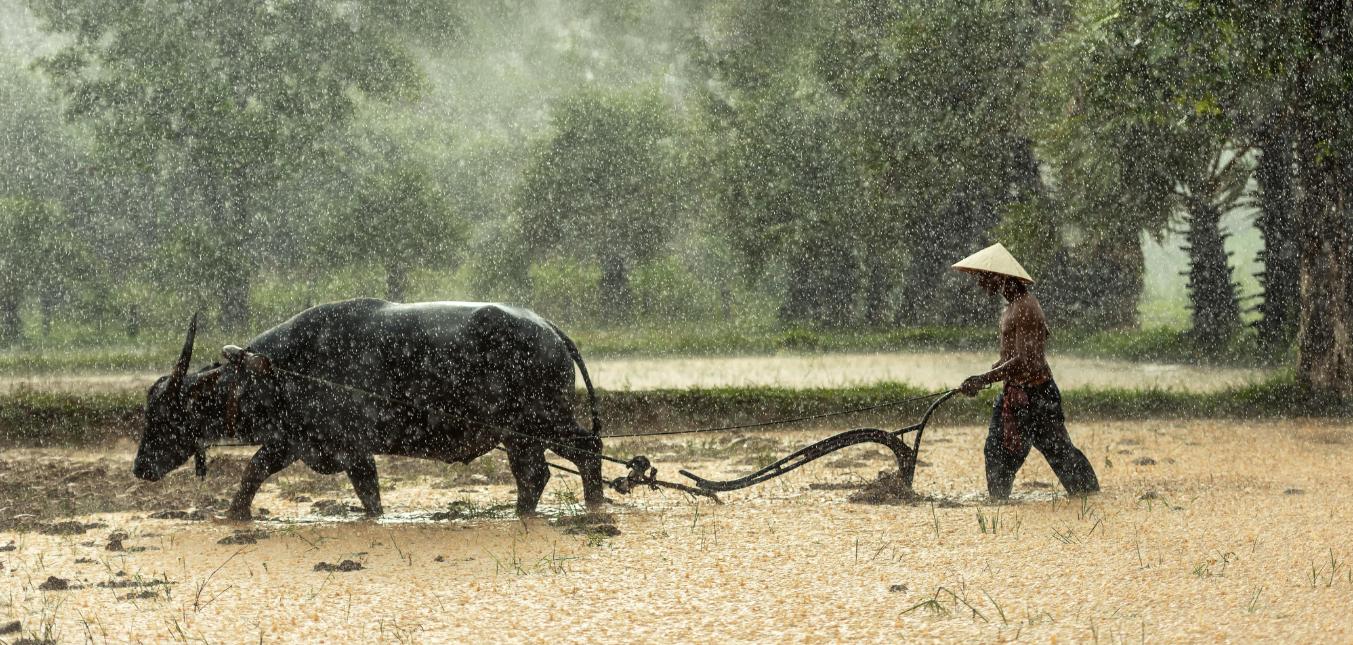 唐朝创新了什么,唐朝变革的重要作用