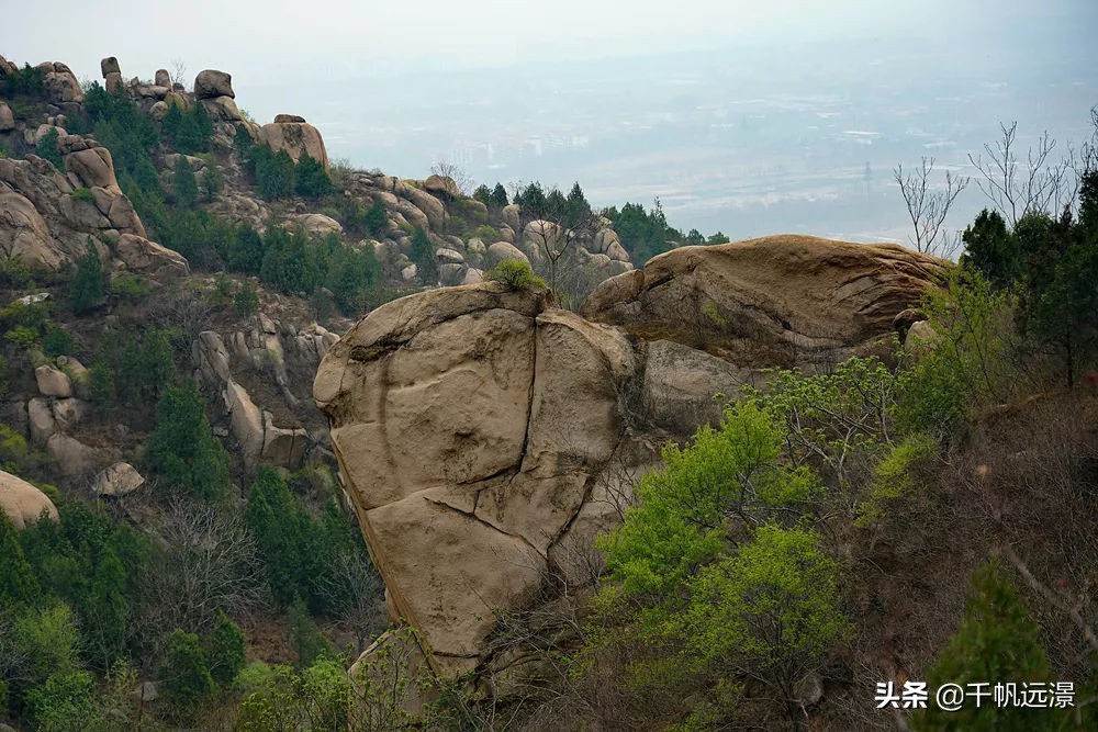 阳春四月迎来春,阳春四月槐花香