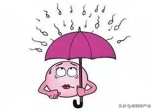 为什么我就怀不上男孩,什么原因引起怀不起孕