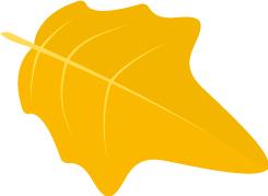 预防网购电信诈骗,如何预防电信诈骗网购