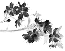 疫情后总发烧是怎么回事,疫情期间发烧了怎么办课件