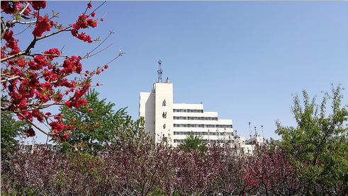 权健直销是什么,权健直销套路