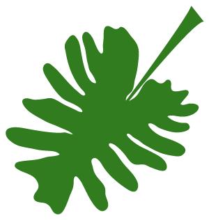 陈飞教说闽南话30期,陈飞教说闽南话全集