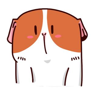 没有食物能防癌10条谣言,酵素防癌