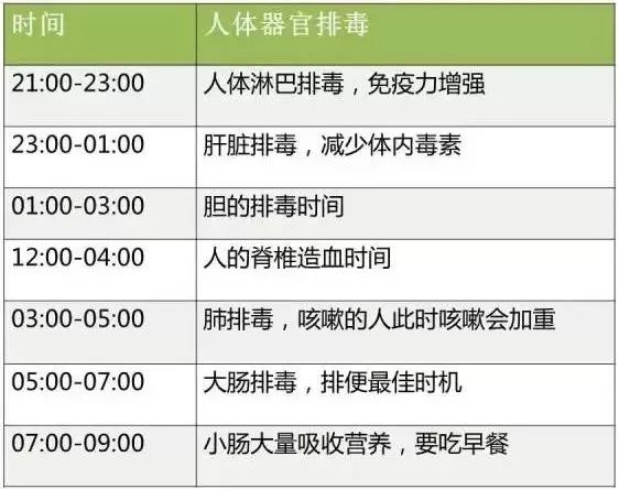 人体排毒时间表最新,人体排毒真实案例