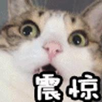 浣犵殑鍚嶇墝琛f湇鍝被鏉ョ殑,浣犵殑鍚嶇墝琛f湇鏉ヨ嚜鍝噷