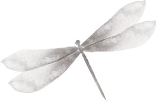 乙肝两对半核心抗体及e抗体阳性,乙肝两对半核心抗体阳性大于10