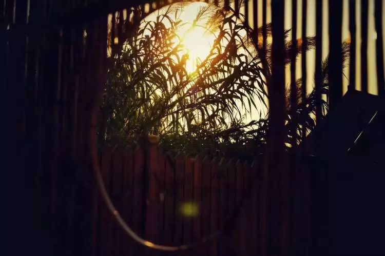 崇明最好的民宿推荐一下,崇明民宿心之所安