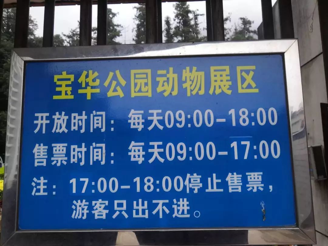 熊出没熊大熊二旅游,熊出没之熊大熊二乐园