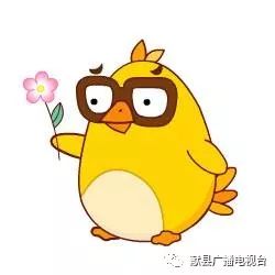 献县第五中学创新理念促学生全面发展