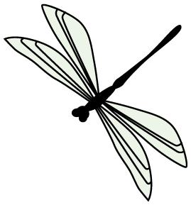 检察院提起的刑事公益诉讼,检察长出庭刑事附带民事公益诉讼