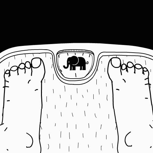 每逢佳节胖三斤从今天起开始减肥,每逢佳节胖三斤快开始恢复训练吧