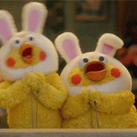 四川人事考试信息网2021年,四川人事考试报考岗位