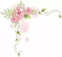 看牡丹何必去洛阳,洛阳看牡丹有多美