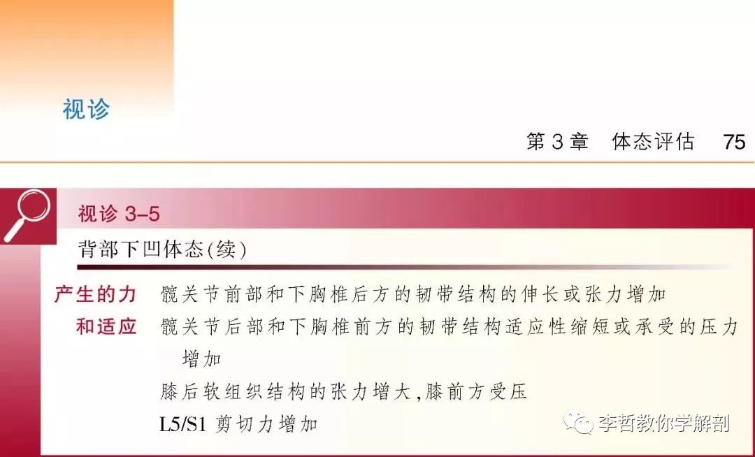 好书推荐｜《骨科与运动损伤检查手册》一本康复医生必须标配的书籍
