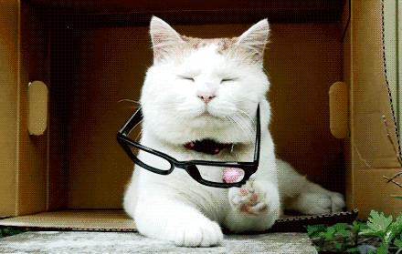 800度近视也能矫正吗,15岁近视800度增长得很快怎么办