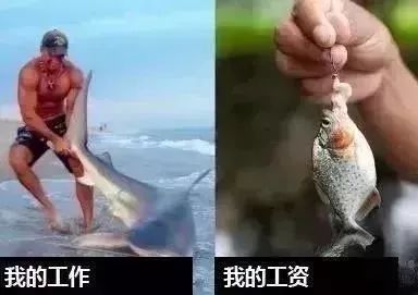 长春涨工资2023涨的是基本工资吗,快来看看长春市平均工资公布