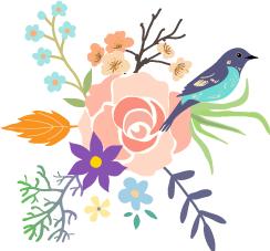 脱贫攻坚巾帼在行动|合肥有20名“最美巾帼脱贫攻坚人”受表彰！看看有你认识的没？