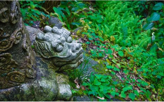 一周全国景区网络评价报告,三清山旅游评价