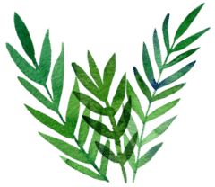 吉林省人民医院中医科专家介绍,吉林市人民医院普外科专家